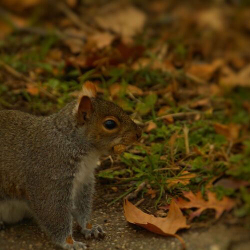 Photo #14103714