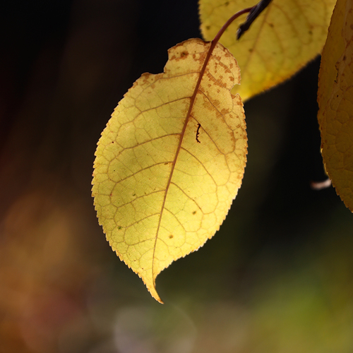 Photo #14103749