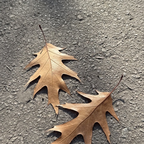 Photo #14103757