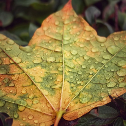 Photo #14103824
