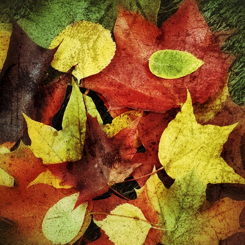 Photo #14103825