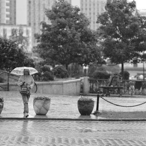 Photo #14103864