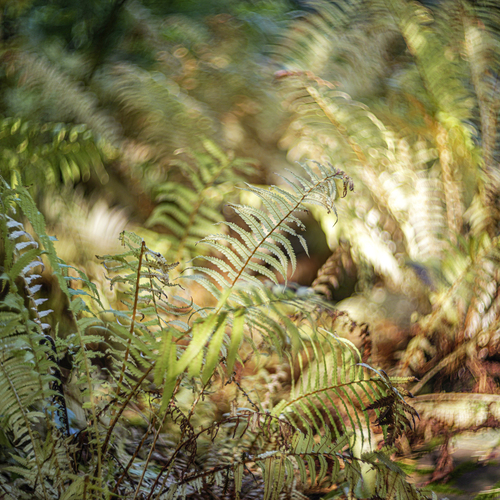 Photo #14103871