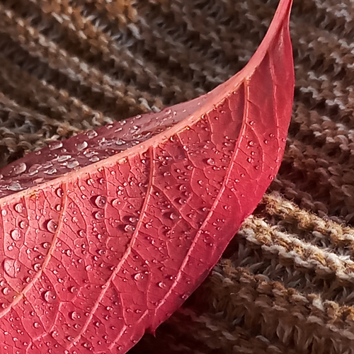 Photo #14103902