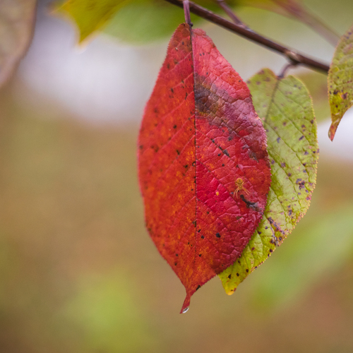 Photo #14103947