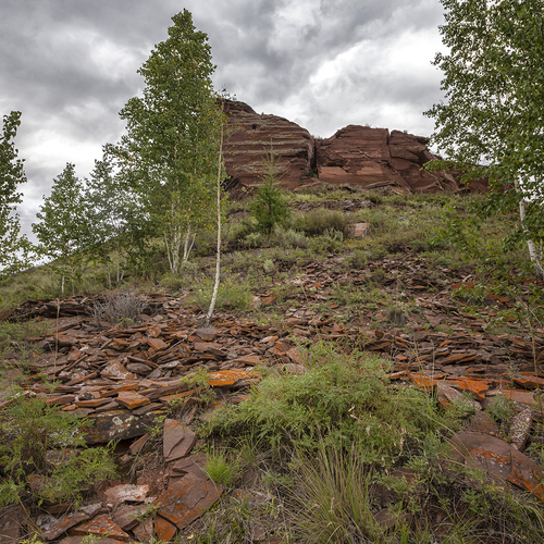 Photo #14103956