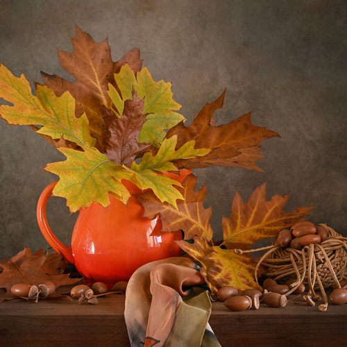 Photo #14104047