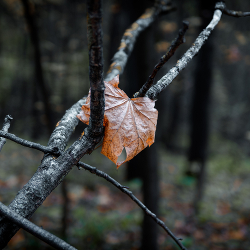 Photo #14104071