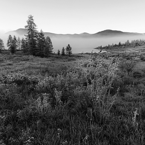 Photo #14104103