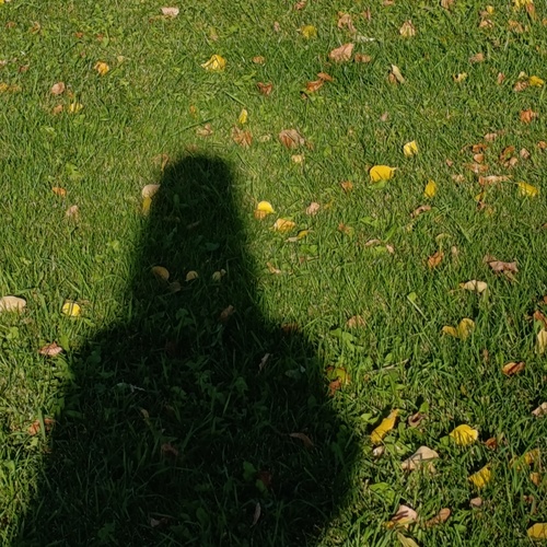 Photo #14104132