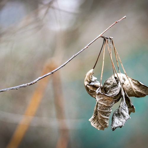 Photo #14104156