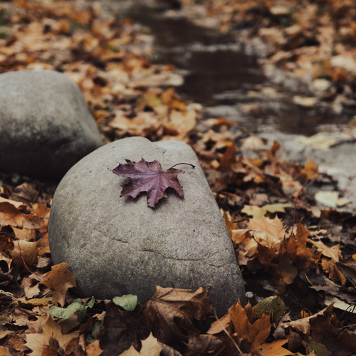 Photo #14104208
