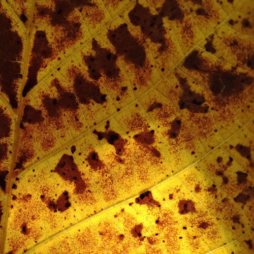 Photo #14104235