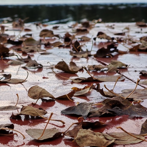 Photo #14104242
