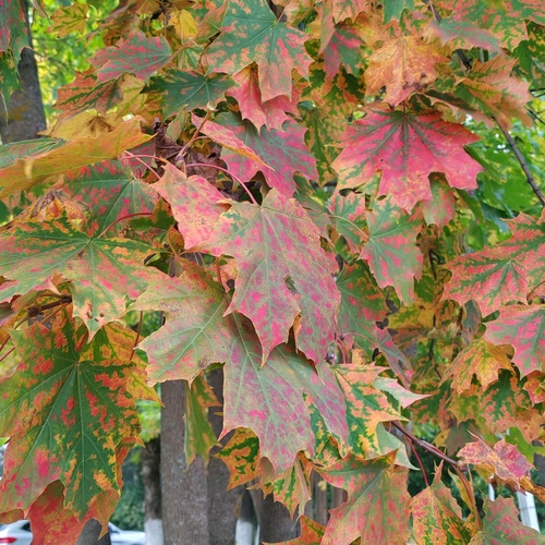 Photo #14104253