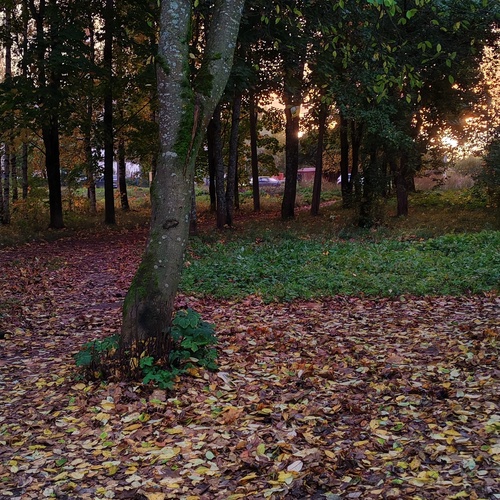 Photo #14104260