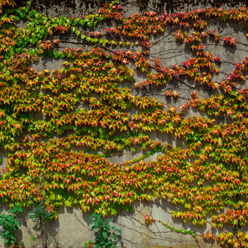 Photo #14104264