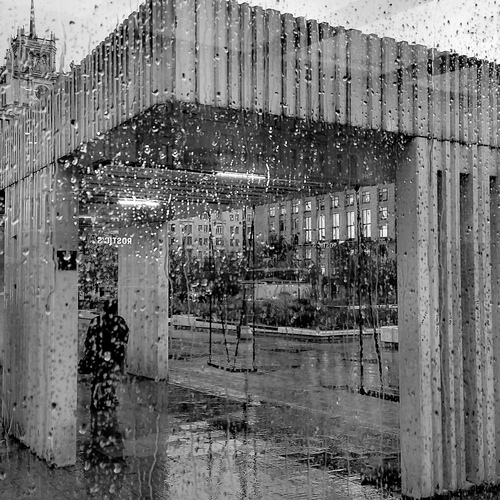Photo #14104335