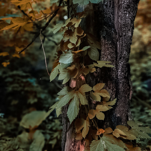 Photo #14104338
