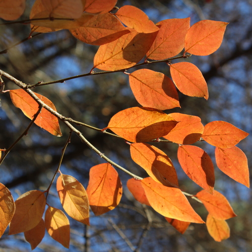 Photo #14104347