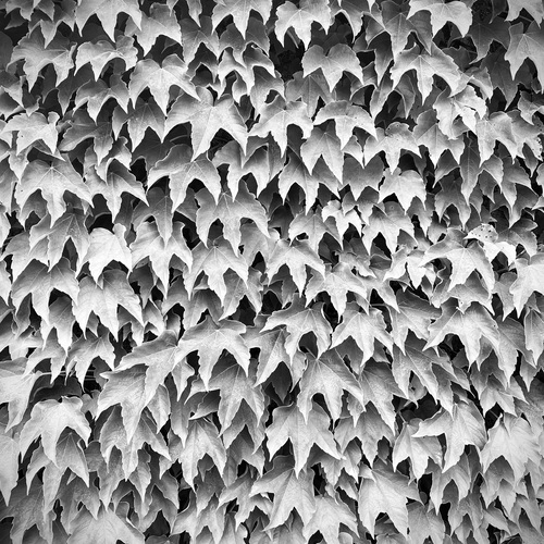 Photo #14104372