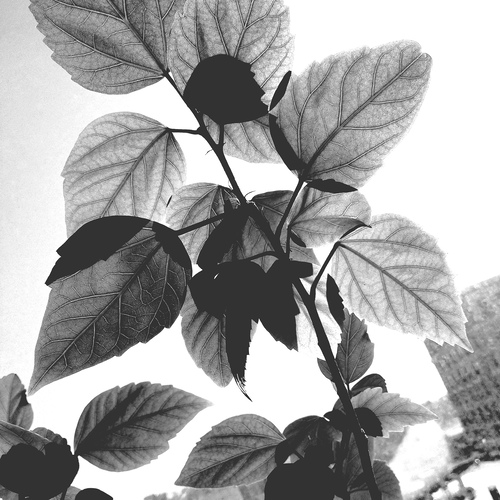 Photo #14104385