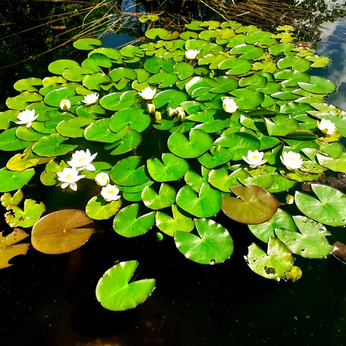 Photo #14104424