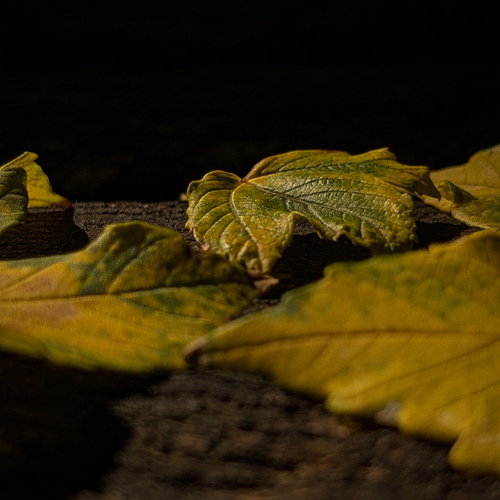 Photo #14104431