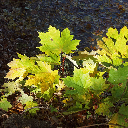 Photo #14104435