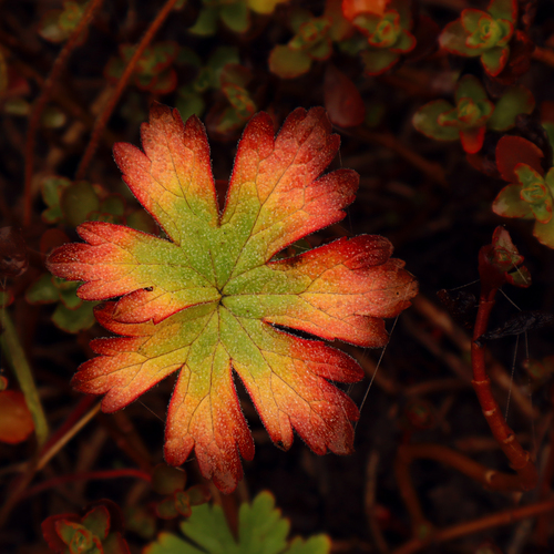 Photo #14104515