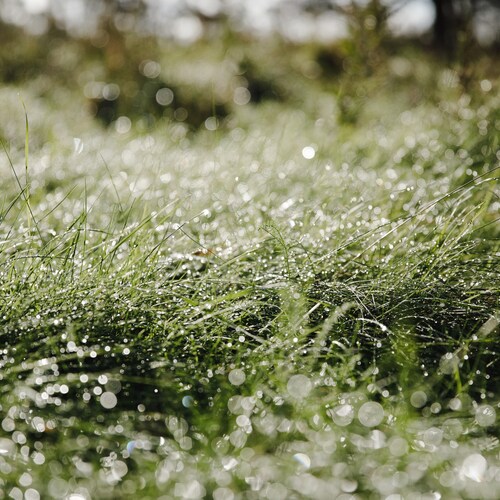 Photo #14104522