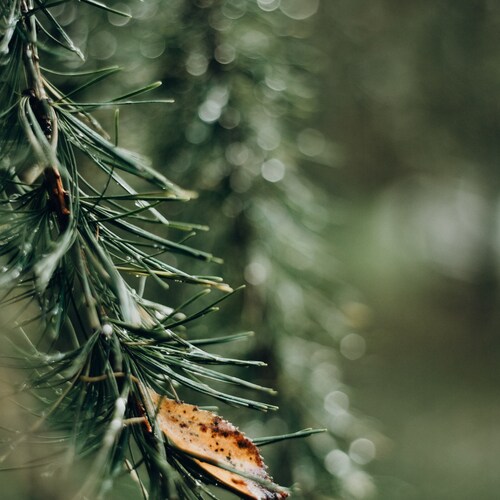 Photo #14104523