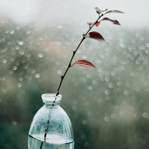 Photo #14104533