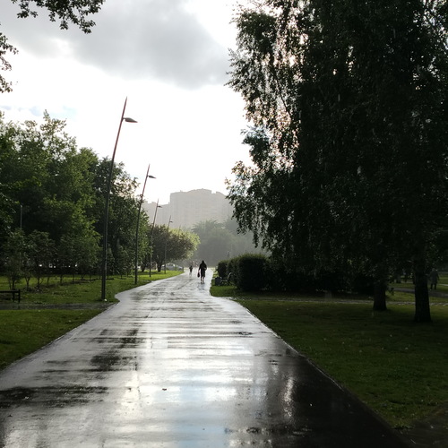 Photo #14104534