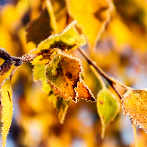 Photo #14104546