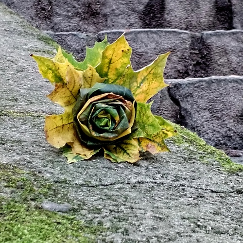 Photo #14104551