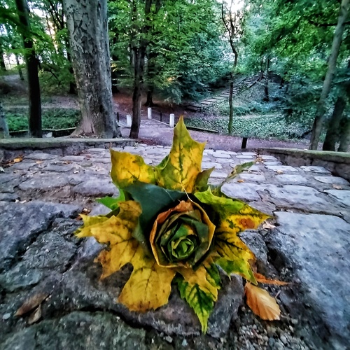 Photo #14104552