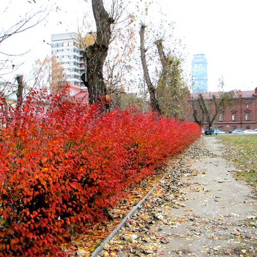 Photo #14104555
