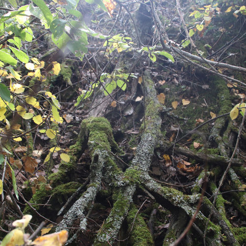 Photo #14104556