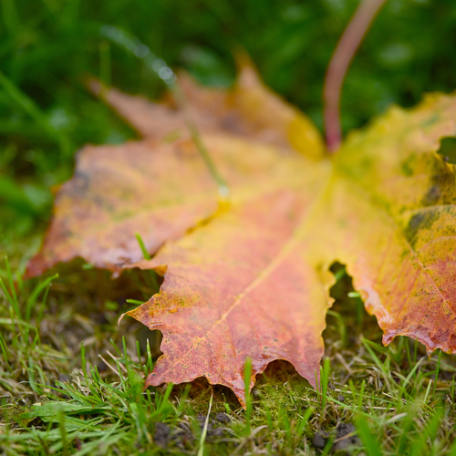 Photo #14104588