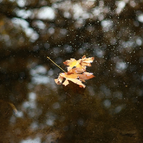 Photo #14104590