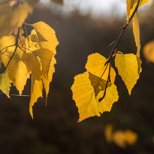 Photo #14104623