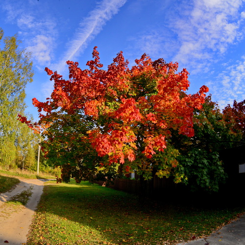 Photo #14104657