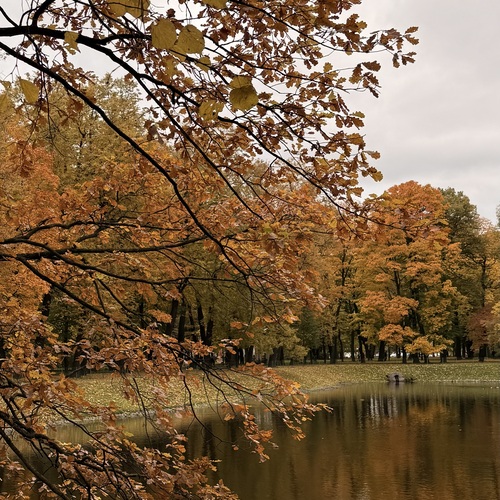 Photo #14104662