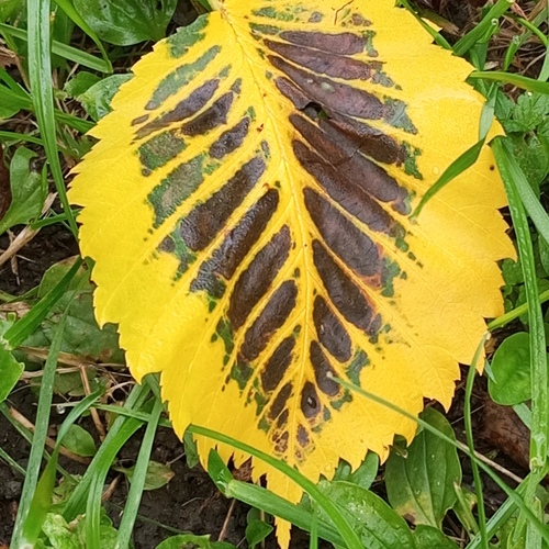 Photo #14104663