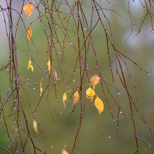 Photo #14104669