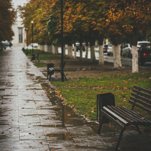 Photo #14104736