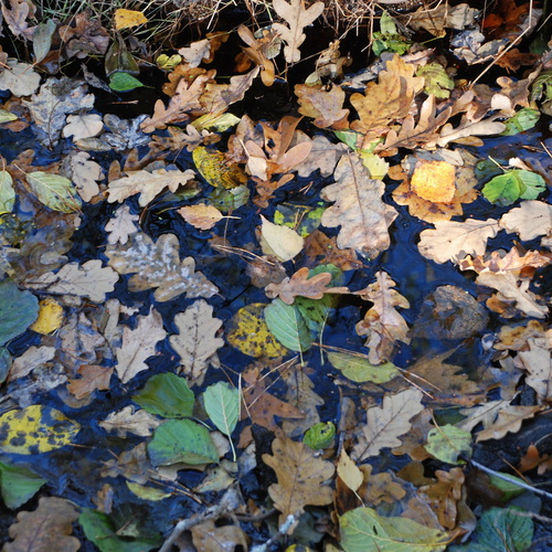 Photo #14104778