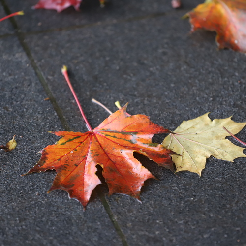 Photo #14104794