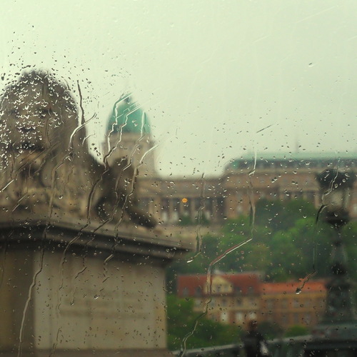Photo #14104819